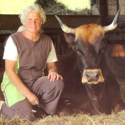 Murnau-Werdenfelser Rind Melanie und Anahid Klotz