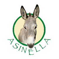 Asinella